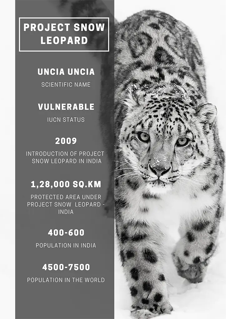 Project Snow Leopard: Guide on Snow Leopards in India