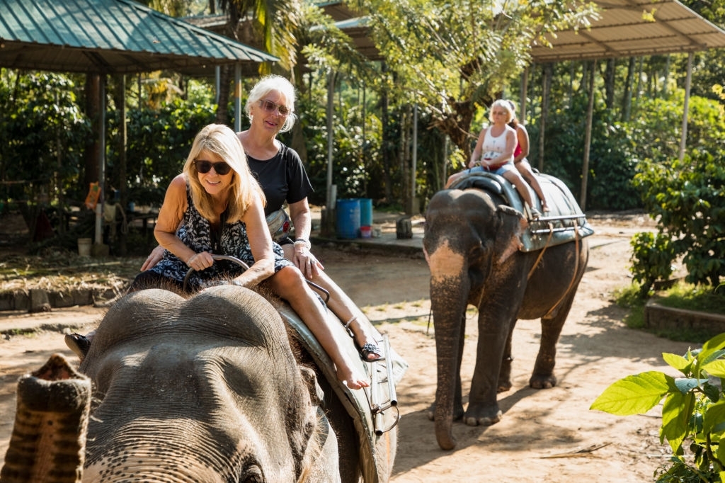 ban on elephant-back tiger safari in india