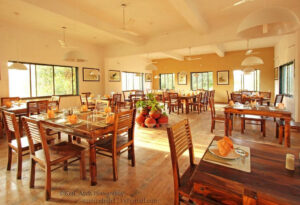 gir birding lodge 1
