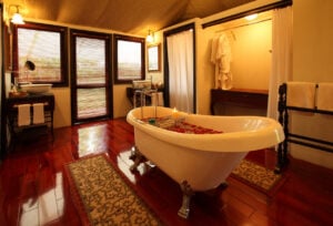 tuli tiger corridor in pench bathroom
