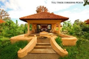 tuli tiger corridor resort panna (1)