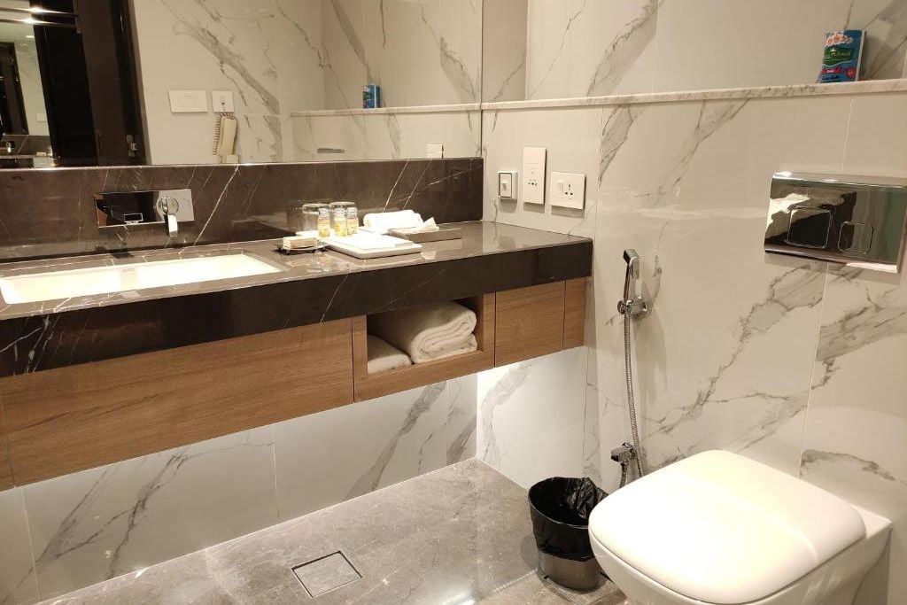 Pride hotel ahmedabad (5)
