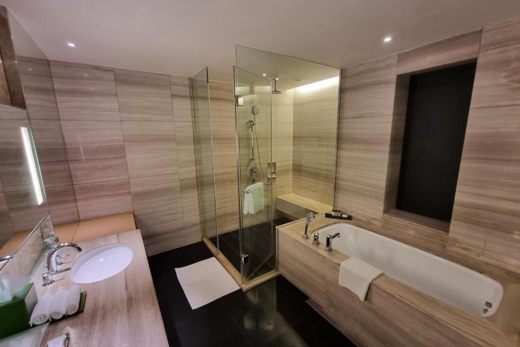 holiday inn aerocity (6)