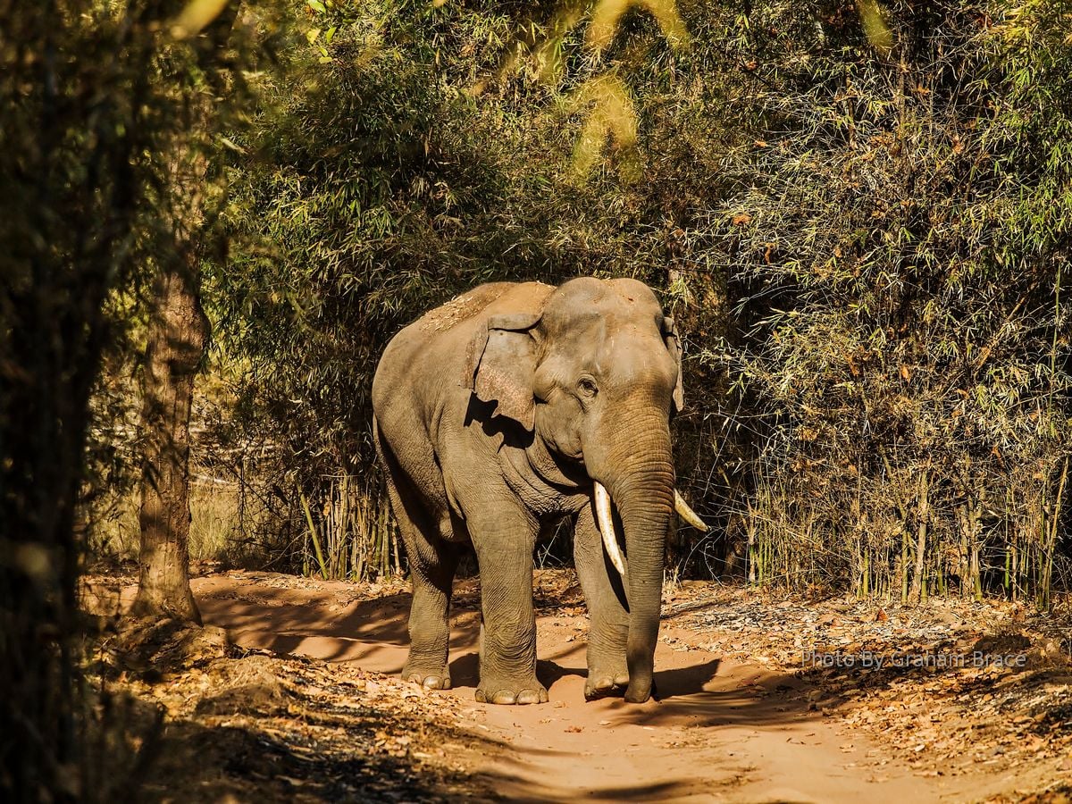 Photo By Graham Brace (11)