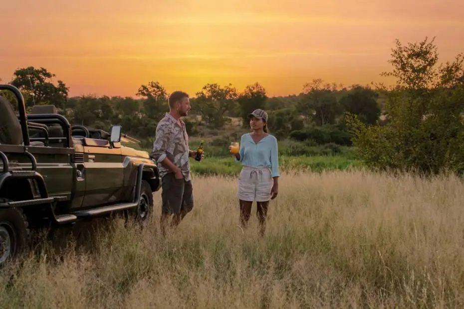 safari newbie - things to consider going on a safari in india