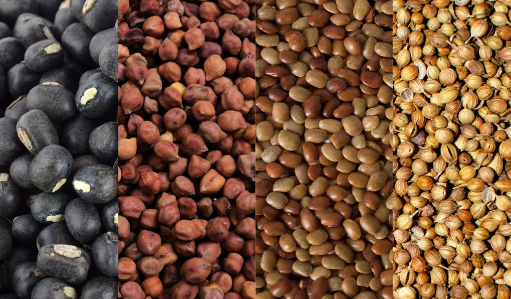 Legumes and Pulses Legumes and Pulses