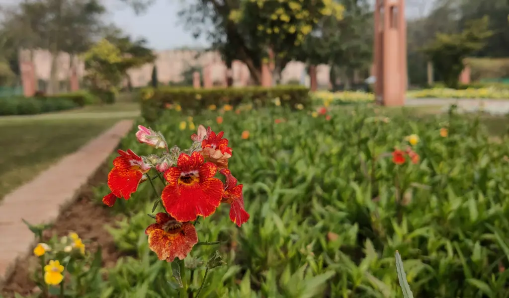 Sunder Nursery (Nizamuddin) Sunder Nursery (Nizamuddin)