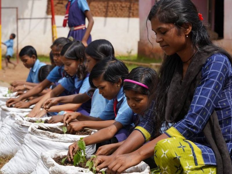 Children making grow bags under our biodiversity curriculum 768x512 Children making grow bags under our biodiversity curriculum 768x512