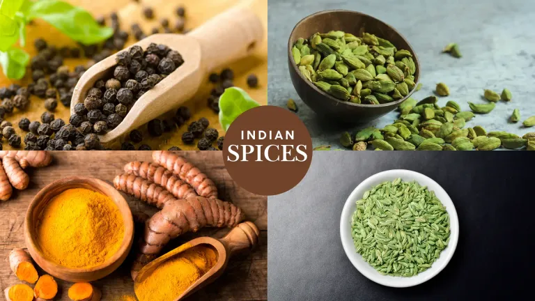 Indian Spices, their uses, and Medicinal benefits