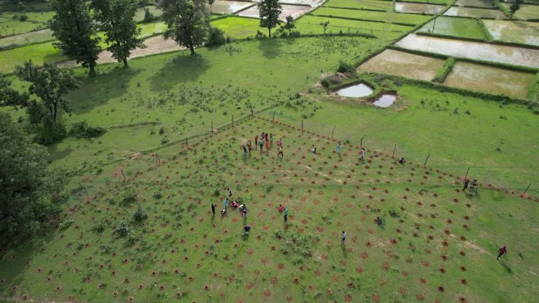 How to Effectively Volunteer as a Voluntourist - earth focus