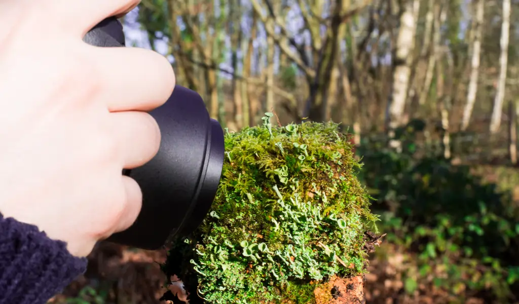 photographer taking a macro photo of some thing up close photographer taking a macro photo of some thing up close
