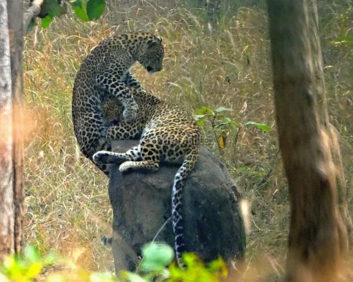 images of Paul Hilts in pench 6 images of Paul Hilts in pench 6