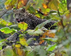 images of Paul Hilts in pench 9