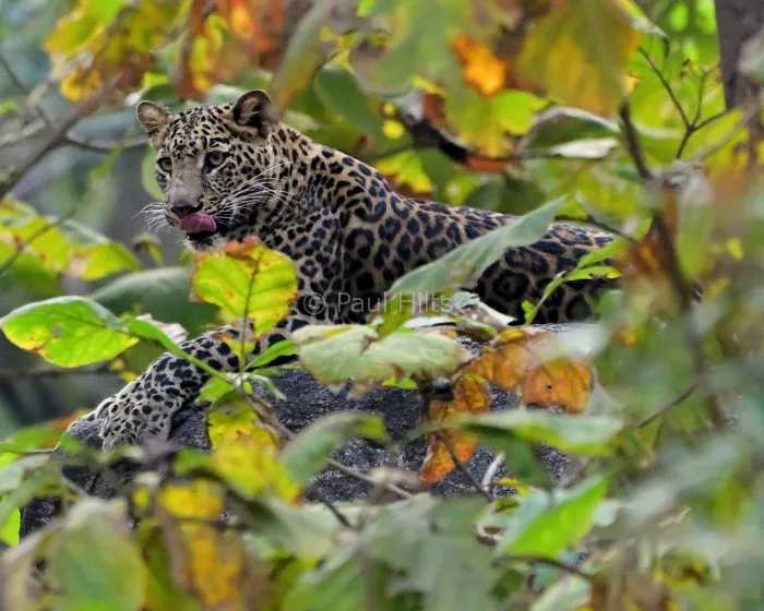 images of Paul Hilts in pench 9