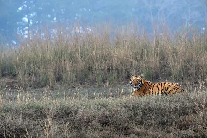 images of Paul Hilts in satpura