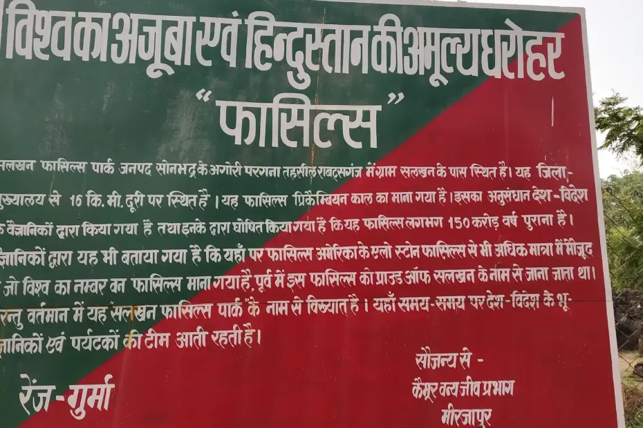 Salkhan fossil park display board optimized