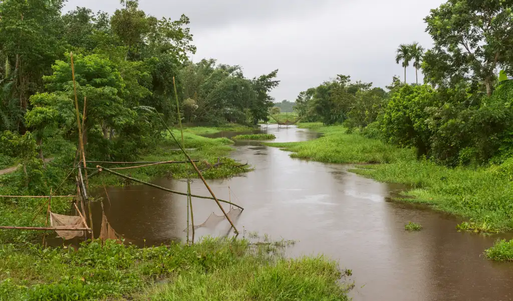 Tributary of Brahmaputra river in flood Jorhat Assam India Tributary of Brahmaputra river in flood Jorhat Assam India
