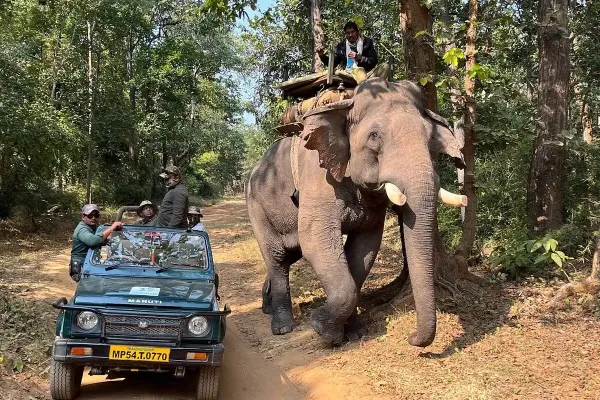 Guests in Bandhavgarh National Park