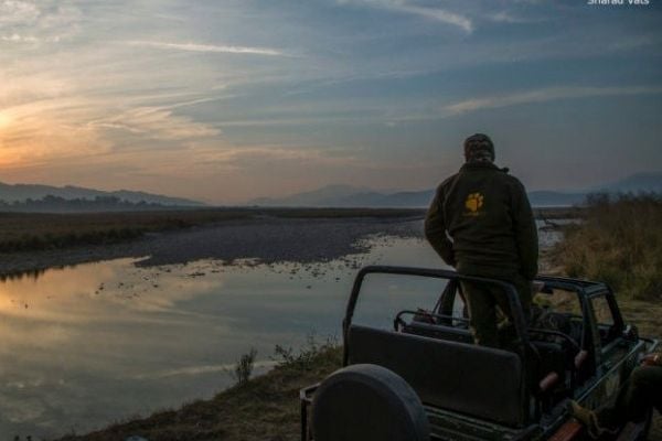 safari in jim corbett national park